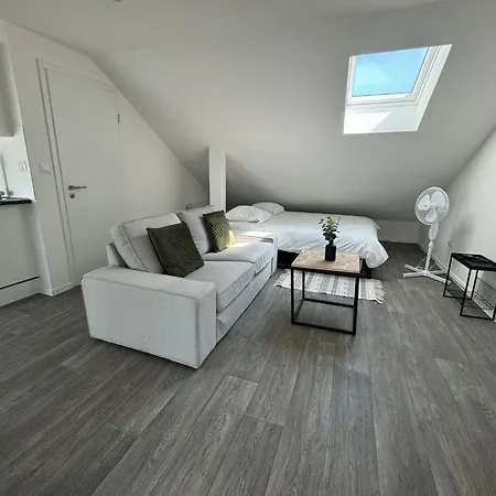 Studio Eucalyptus Charmant Elegant Et Fonctionnel Centre Ville Mulhouse Extérieur photo