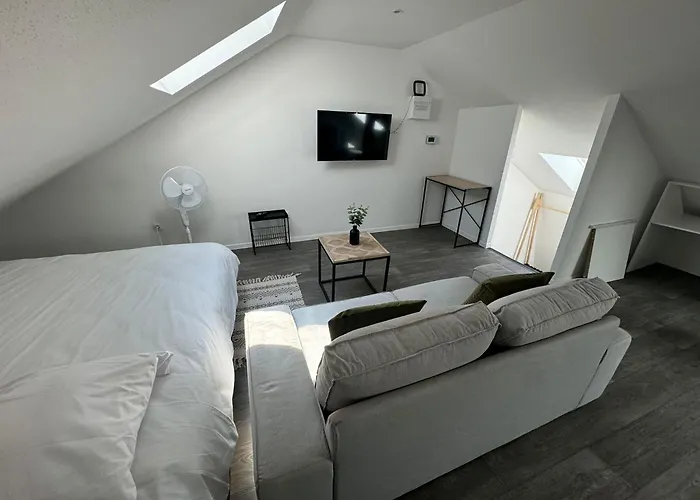 Studio Eucalyptus Charmant Elegant Et Fonctionnel Centre Ville